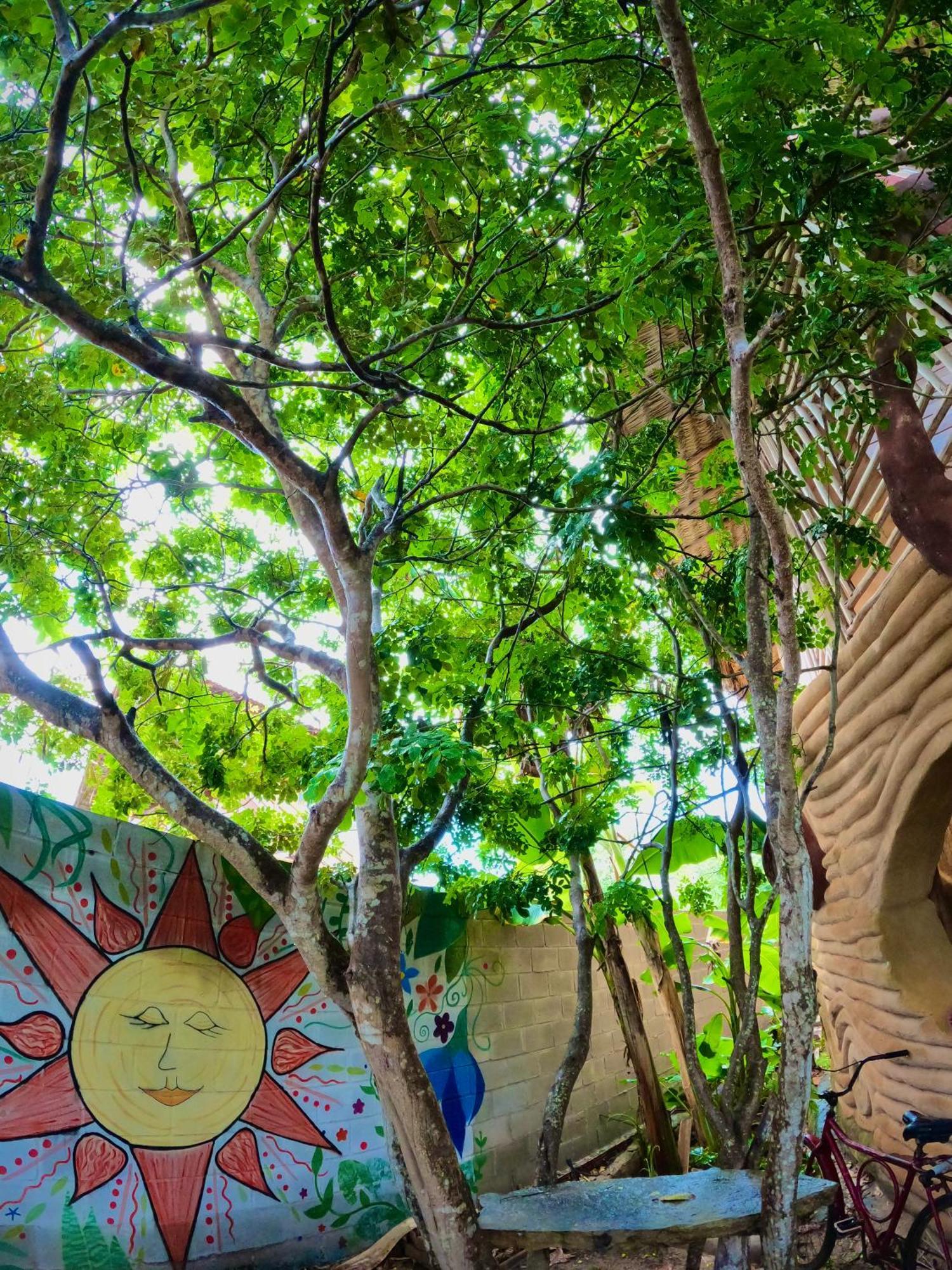 Raizes Eco Hostel Barra Grande  Εξωτερικό φωτογραφία
