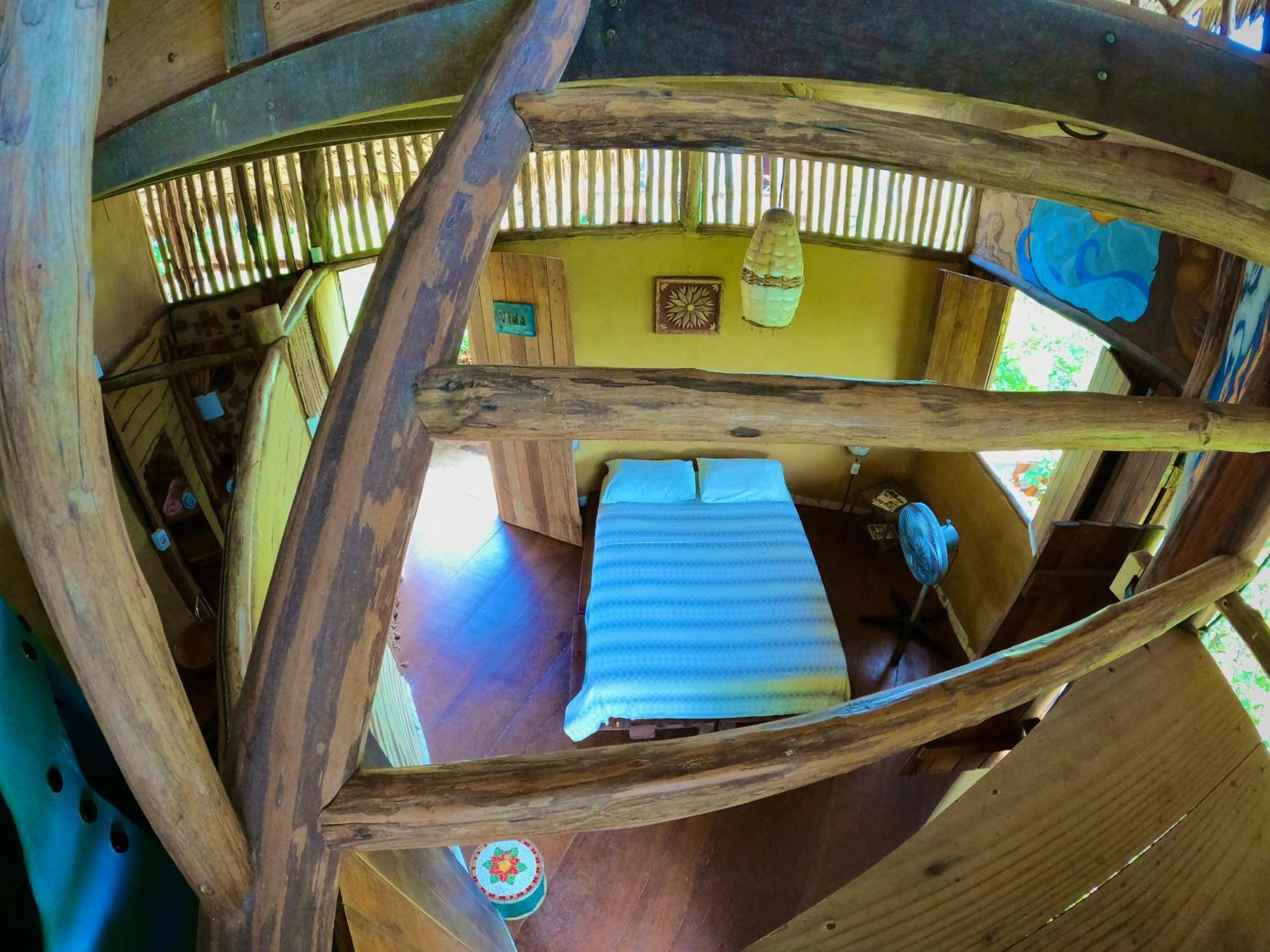 Raizes Eco Hostel Barra Grande  Εξωτερικό φωτογραφία