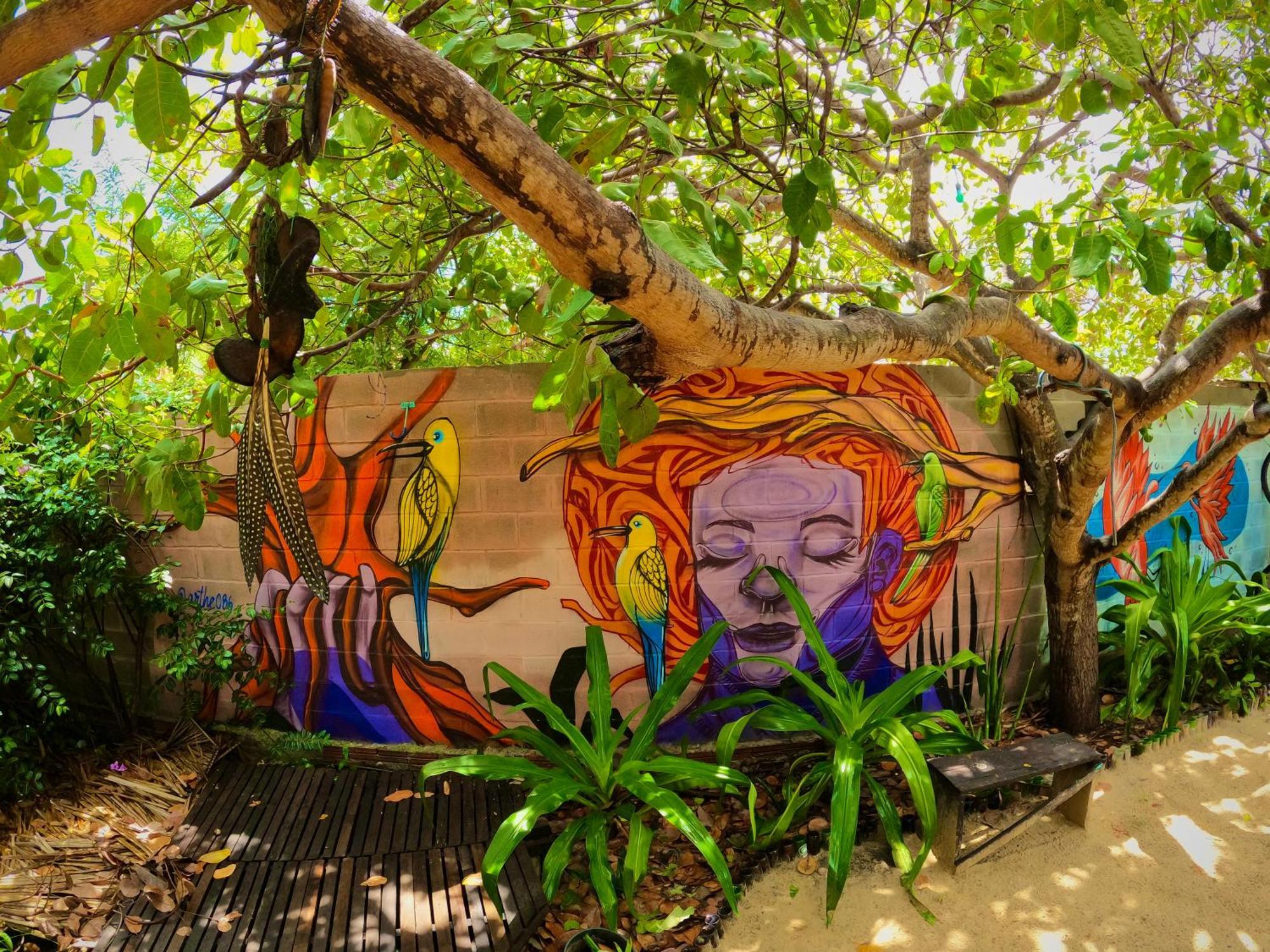 Raizes Eco Hostel Barra Grande  Εξωτερικό φωτογραφία