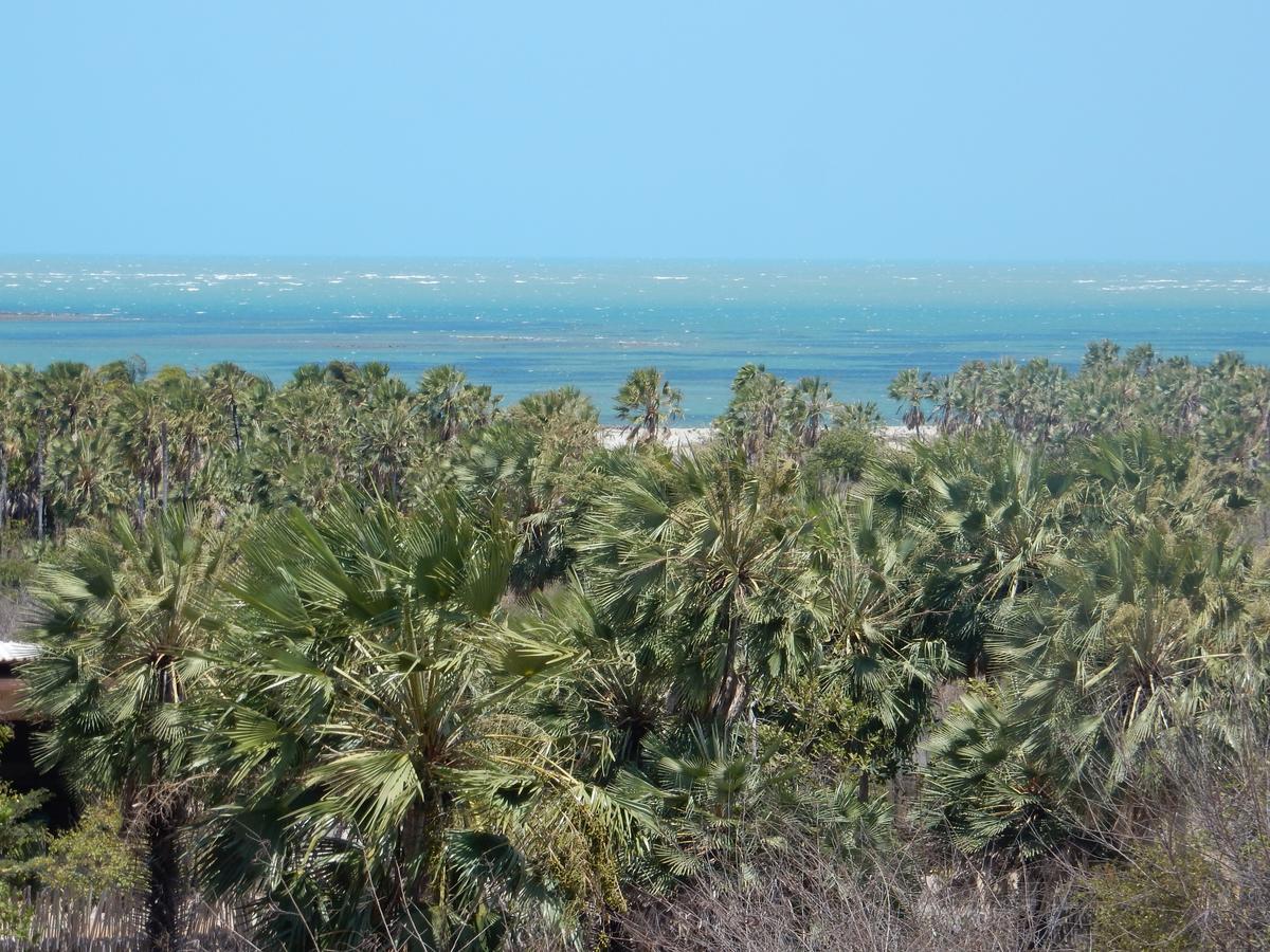 Raizes Eco Hostel Barra Grande  Εξωτερικό φωτογραφία