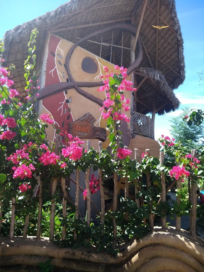 Raizes Eco Hostel Barra Grande  Εξωτερικό φωτογραφία