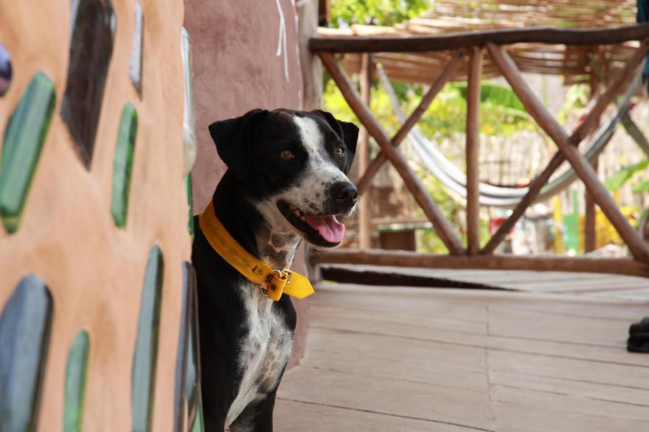 Raizes Eco Hostel Barra Grande  Εξωτερικό φωτογραφία