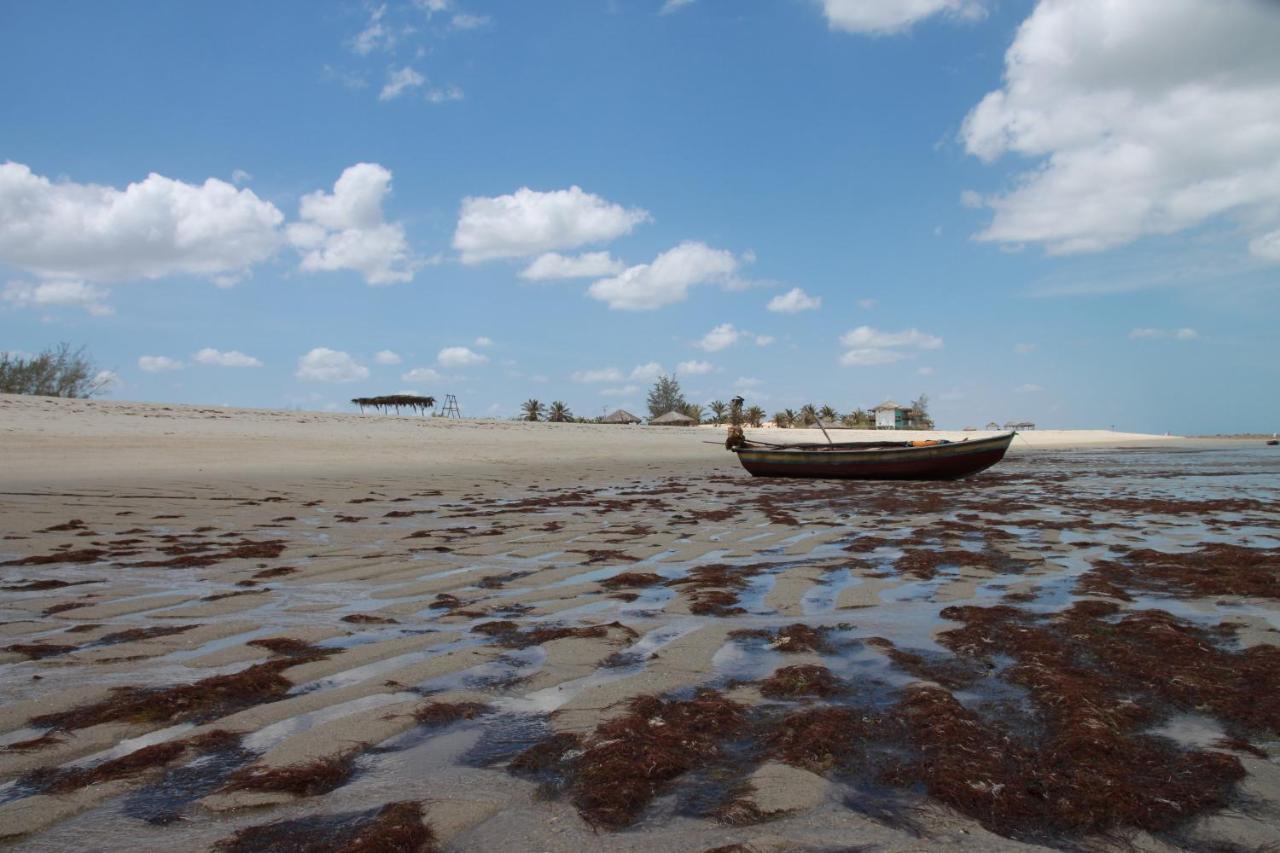 Raizes Eco Hostel Barra Grande  Εξωτερικό φωτογραφία
