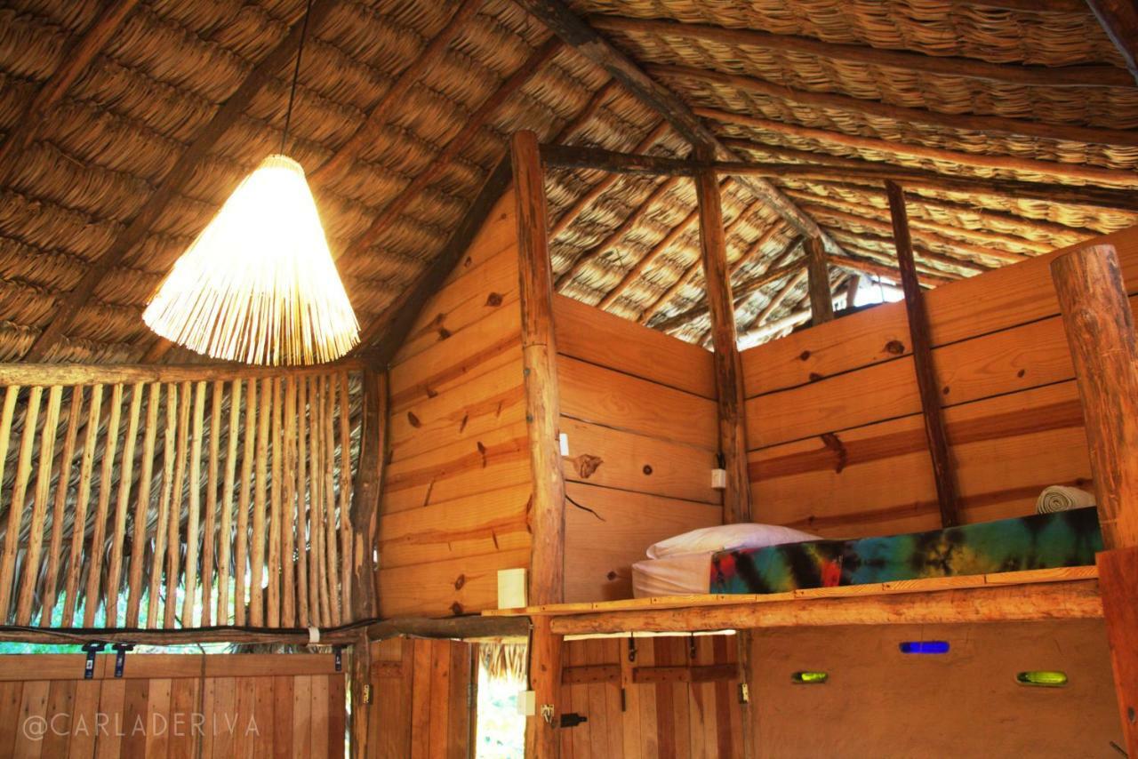 Raizes Eco Hostel Barra Grande  Εξωτερικό φωτογραφία